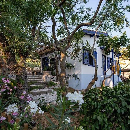 Les Maisons de pêcheurs Sète Exterior foto