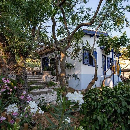 Les Maisons de pêcheurs Vila Sète Exterior foto